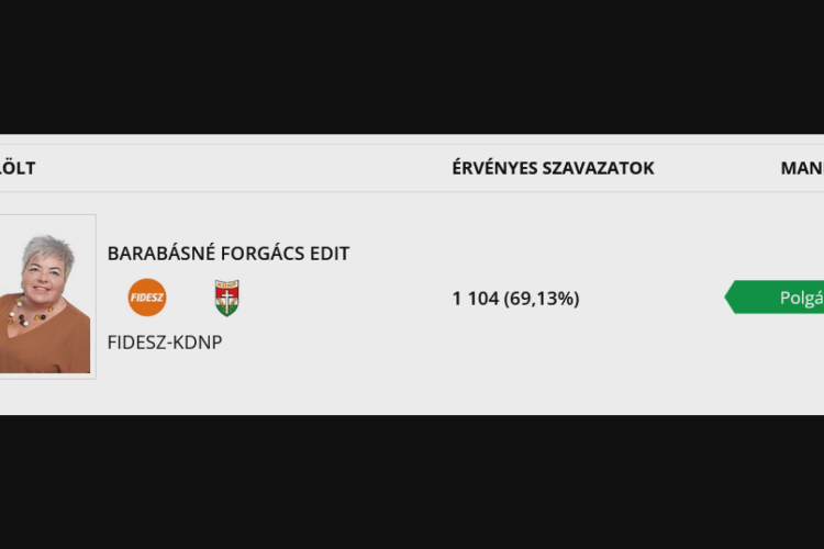Kenderes időközi önkormányzati választás