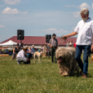 Kun Hagyományok Napja