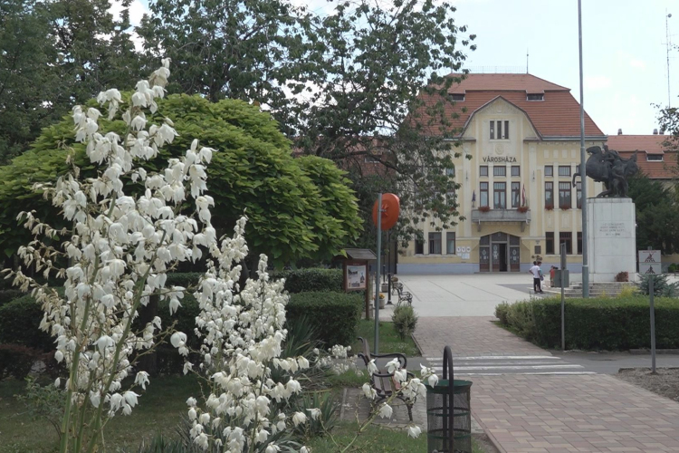 VÁROSI SÉTÁKAT SZERVEZ A MÚZEUM