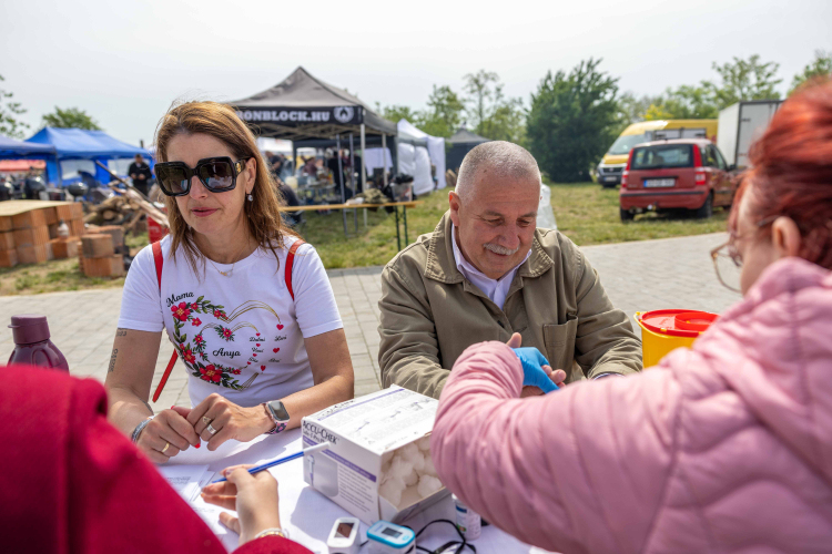 BBQ Fesztivál
