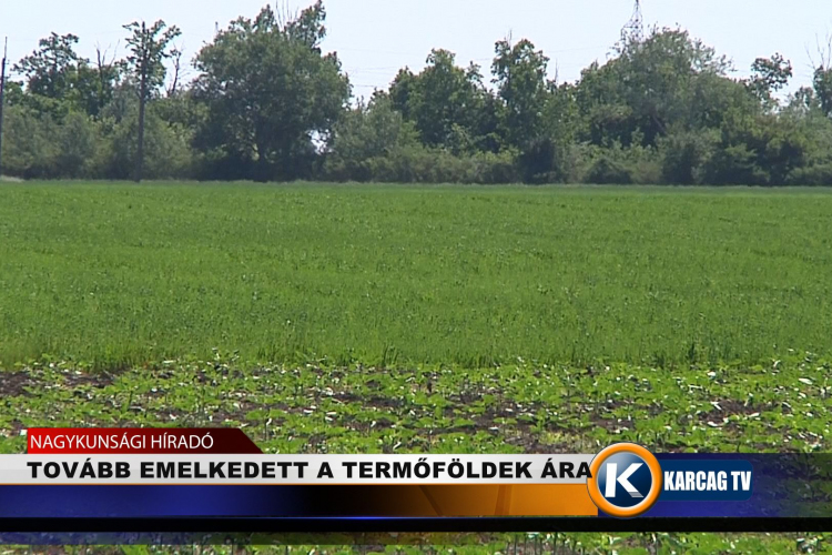 TOVÁBB EMELKEDETT A TERMŐFÖLDEK ÁRA