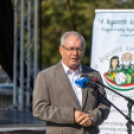 A legszebb konyhakertek