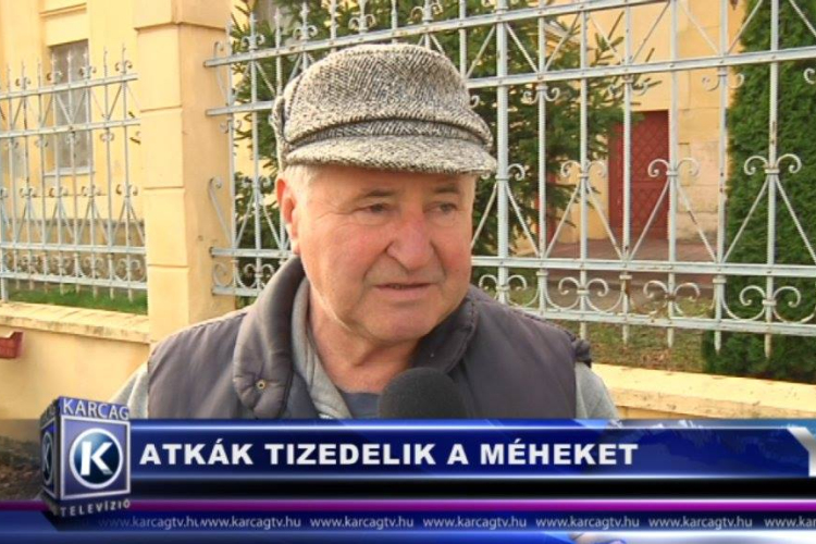 ATKÁK TIZEDELIK A MÉHEKET