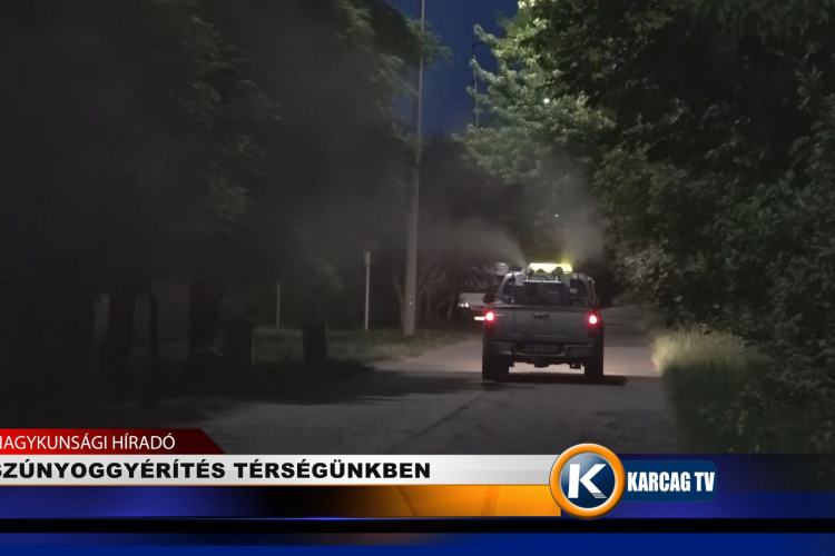 SZÚNYOGGYÉRÍTÉS TÉRSÉGÜNKBEN