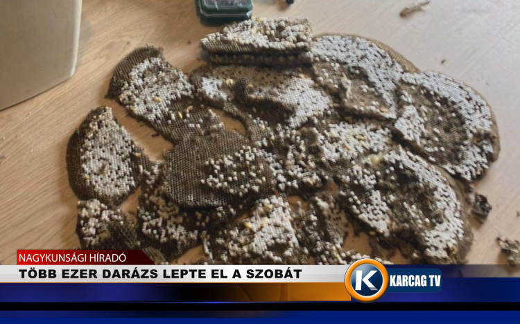 TÖBB EZER DARÁZS LEPTE EL A SZOBÁT