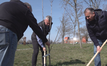 MEGKEZDŐDÖTT A FAÜLTETÉSI SZEZON