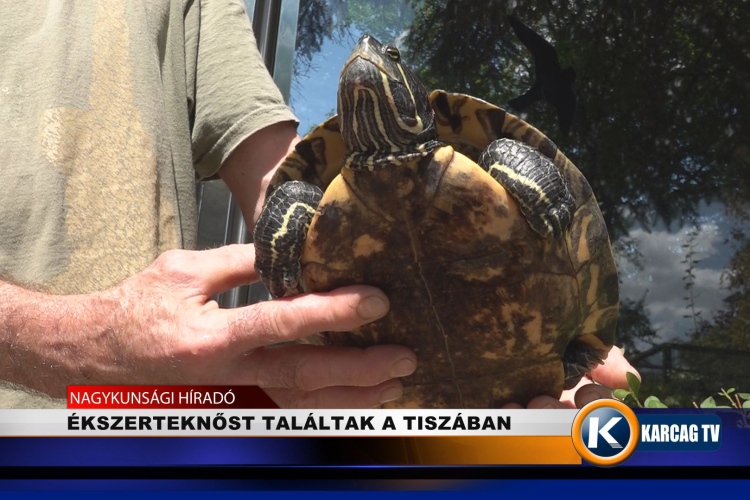 ÉKSZERTEKNŐST TALÁLTAK A TISZÁBAN