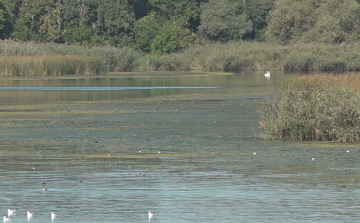  Október végén leálltak a viharjelzők a hazai tavakon