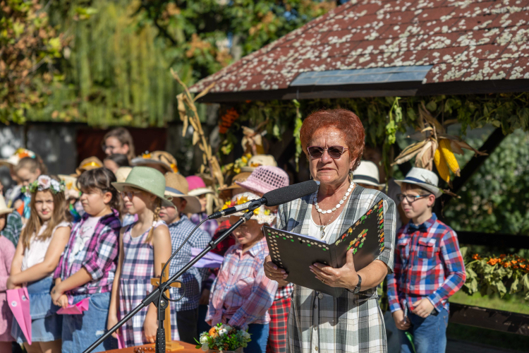 Fecskevató a Györffyben
