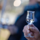 Karcagi Kolbászízesítő és toroskáposzta-főző verseny