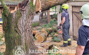  Kisebb beavatkozásokat hozott a keddi vihar