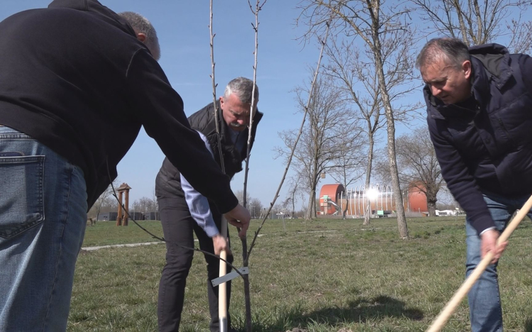 MEGKEZDŐDÖTT A FAÜLTETÉSI SZEZON