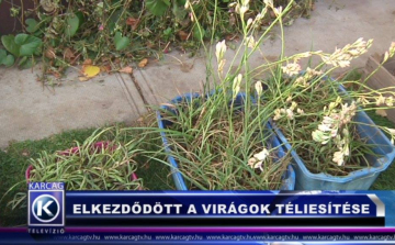ELKEZDŐDÖTT A VIRÁGOK TÉLIESÍTÉSE