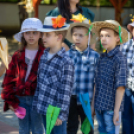 Fecskevató a Györffyben