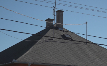 INDUL A FŰTÉSI SZEZON