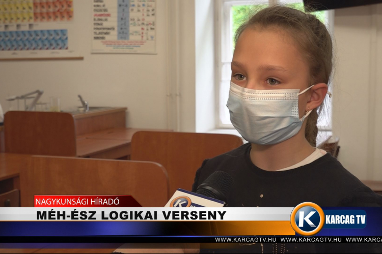 MÉH-ÉSZ LOGIKAI VERSENY