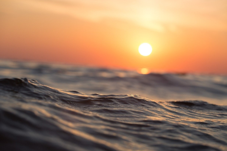 Sürgős megoldást keres a tengereit ellepő nyálka ellen Törökország