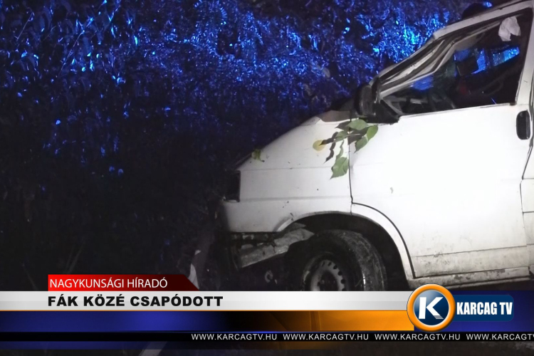 FÁK KÖZÉ CSAPÓDOTT 