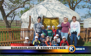 BARANGOLÁSOK A KÖRNYEZETBEN