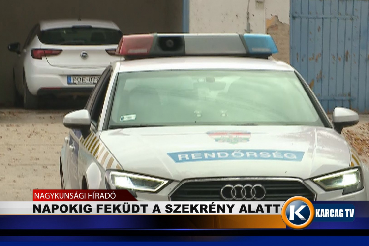 NAPOKIG FEKÜDT A SZEKRÉNY ALATT  