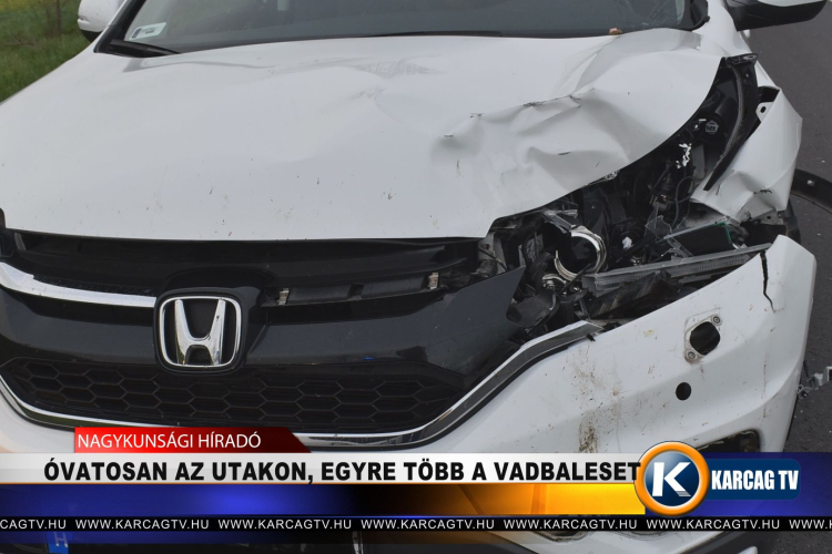 ÓVATOSAN AZ UTAKON, EGYRE TÖBB A VADBALESET