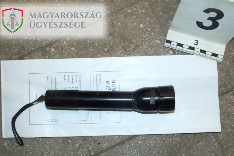 A mai napig letartóztatásban a fejszével és bozótvágóval fenyegetőző rabló