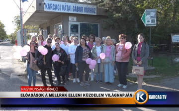 ELŐADÁSOK A MELLRÁK ELLENI KÜZDELEM VILÁGNAPJÁN