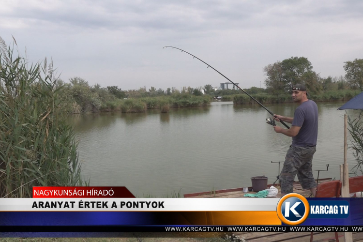 ARANYAT ÉRTEK A PONTYOK