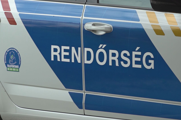 NEM BÍRT MEGLENNI TESTVÉRE NÉLKÜL