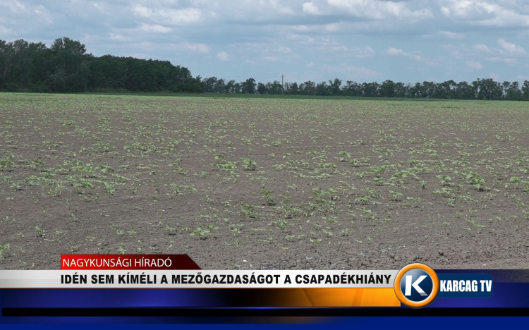 IDÉN SEM KÍMÉLI A MEZŐGAZDASÁGOT A CSAPADÉKHIÁNY