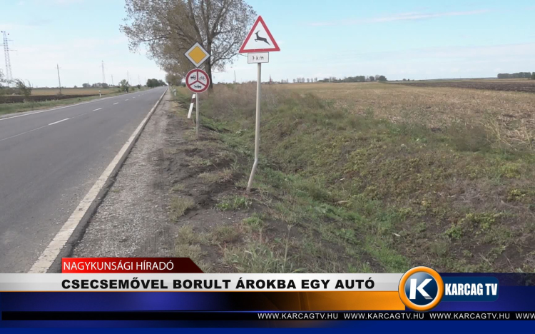 CSECSEMŐVEL BORULT ÁROKBA EGY AUTÓ