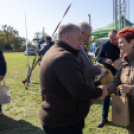A legszebb konyhakertek