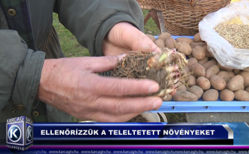 ELLENŐRÍZZÜK A TELELTETETT NÖVÉNYEKET