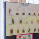 Helytörténet és rajzpályázat eredményhírdetése a Györffyben