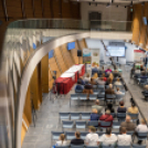 Magyarország legszebb konyhakertje szakmai nap