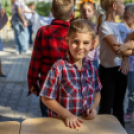 Fecskevató a Györffyben