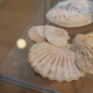 Munkácsy fürdőzik kiállítás