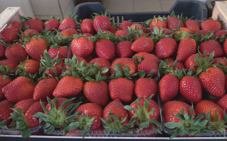 ELINDULT AZ EPERSZEZON