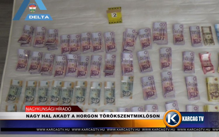 NAGY HAL AKADT A HORGON TÖRÖKSZENTMIKLÓSON