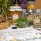 Magyarország legszebb konyhakertje szakmai nap