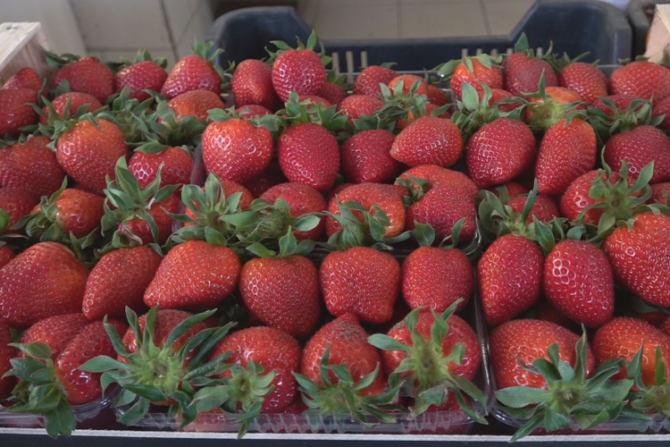 ELINDULT AZ EPERSZEZON