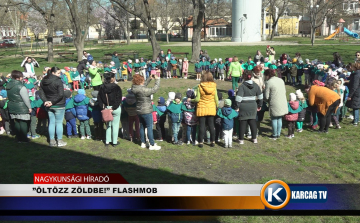 „ÖLTÖZZ ZÖLDBE!” FLASHMOB