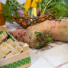 Magyarország legszebb konyhakertje szakmai nap