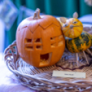 Magyarország Legszebb Konyhakertjei országos díjátadó