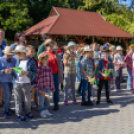 Fecskevató a Györffyben