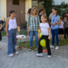 Fecskevató a Györffyben