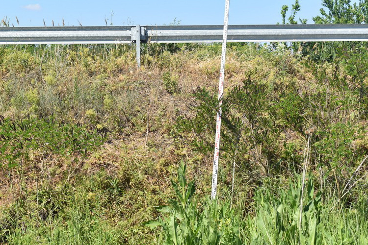 HÍREK JÁSZ-NAGYKUN-SZOLNOK MEGYÉBŐL 