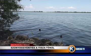 SZÚNYOGGYÉRÍTÉS A TISZA-TÓNÁL