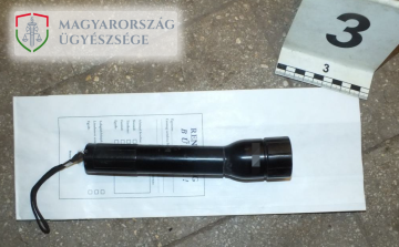 A mai napig letartóztatásban a fejszével és bozótvágóval fenyegetőző rabló