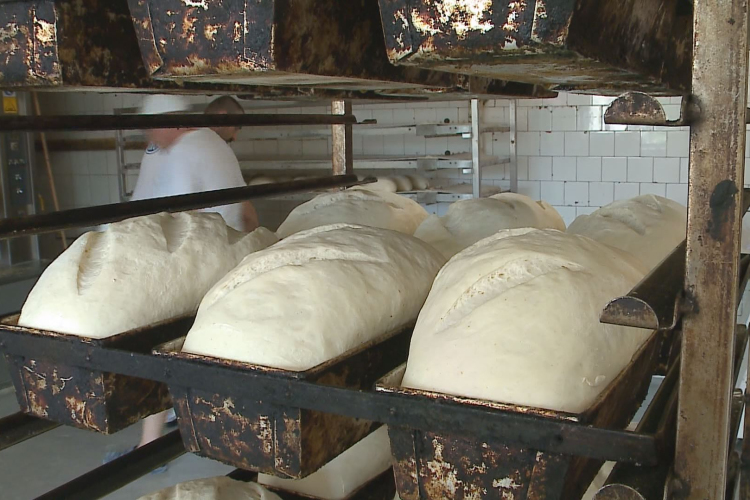 Szakácstól a könyvelőig